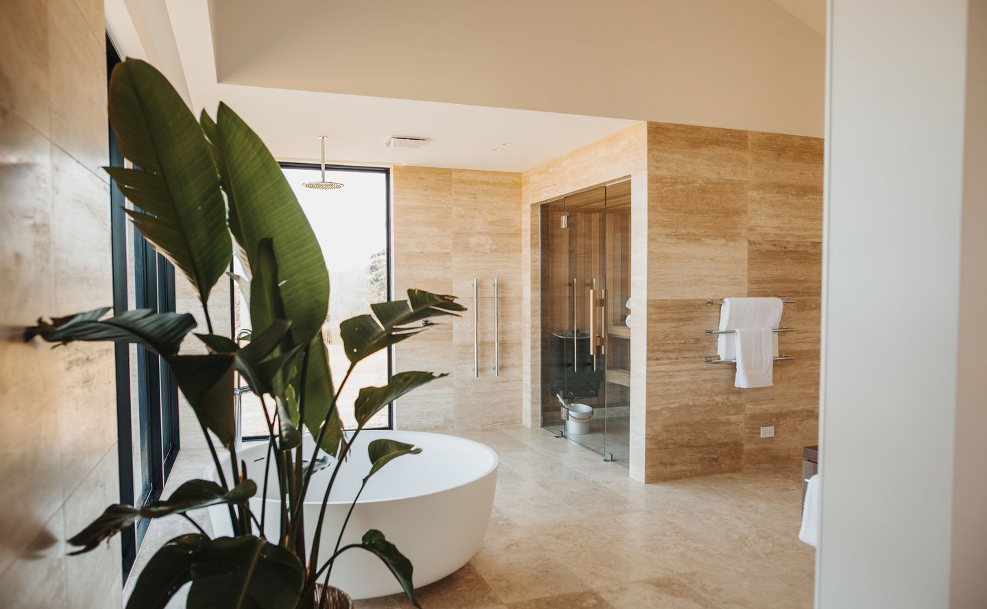 New Stowaways 63 of 502